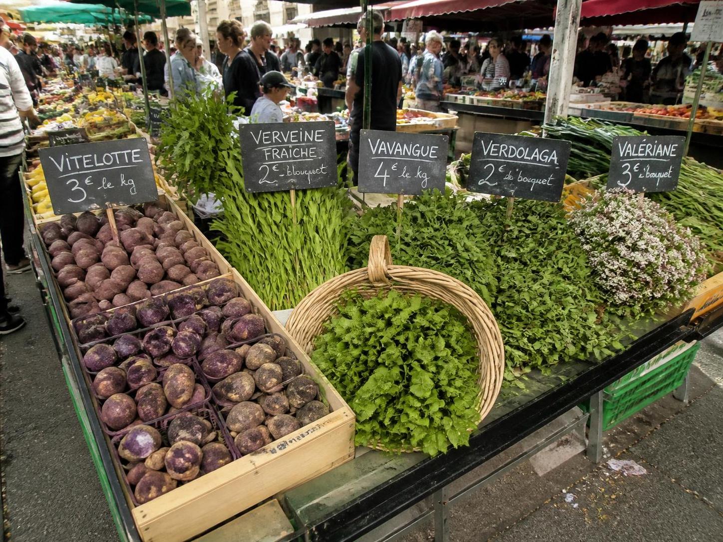 découvrez notre liste complète des légumes commençant par la lettre v à savourer, pour enrichir vos repas avec des saveurs variées et saines.