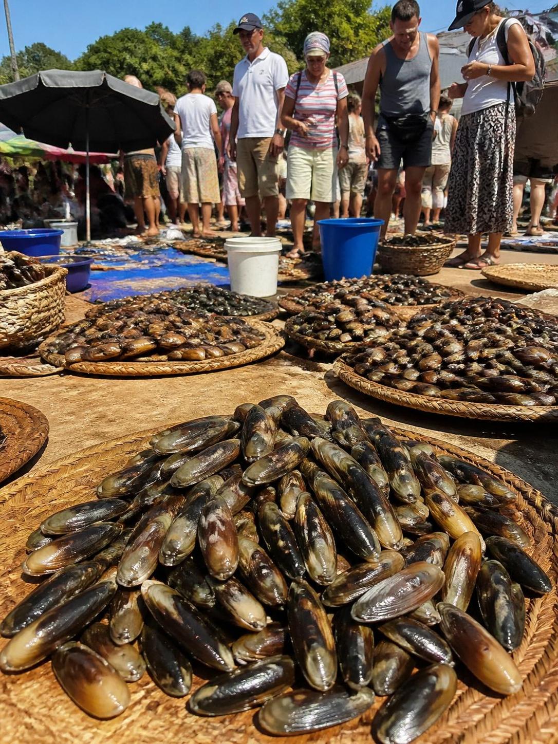découvrez le yéte, mollusque fermenté emblématique et incontournable de la cuisine ouest-africaine, riche en saveurs et traditions.