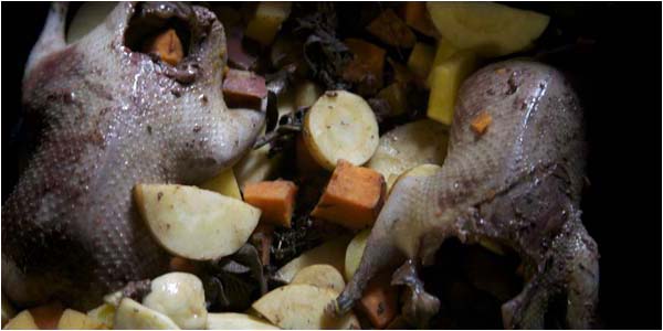 Recettes du pigeon en cocotte, des plats originaux